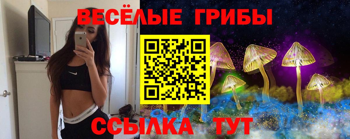 Луховицы  Псилоцибиновые грибы ЛСД  Вход с VPN  Псилоцибиновые грибы Psilocybine cubensis 